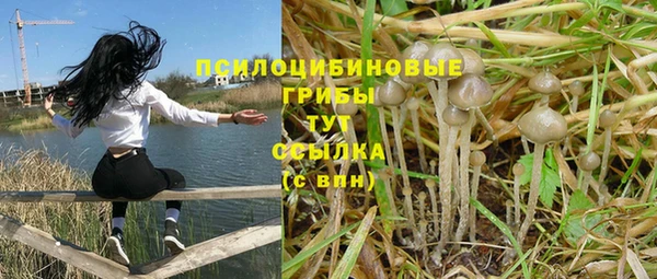 эйфоретик Покачи