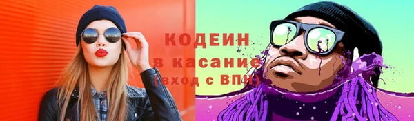 молекула духа Покров