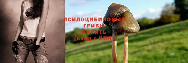 круглые Абаза