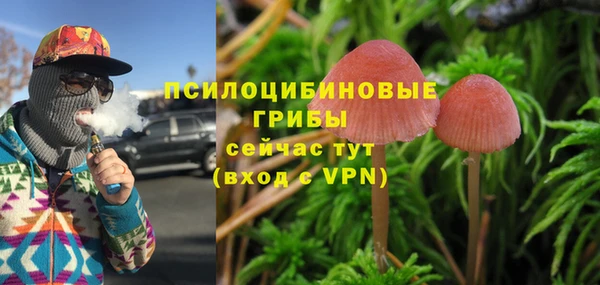 гашик Абдулино