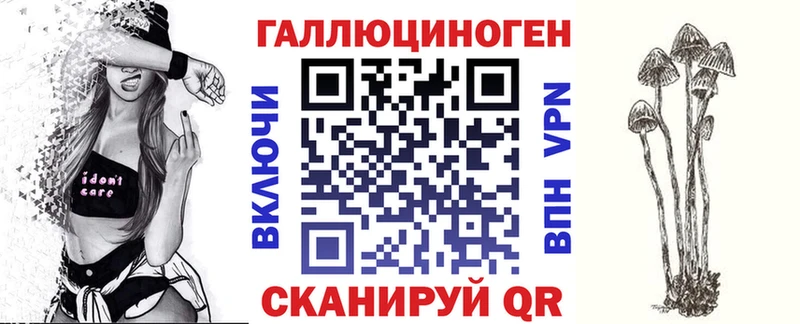 Псилоцибиновые грибы Psilocybe  наркота  Красноперекопск 